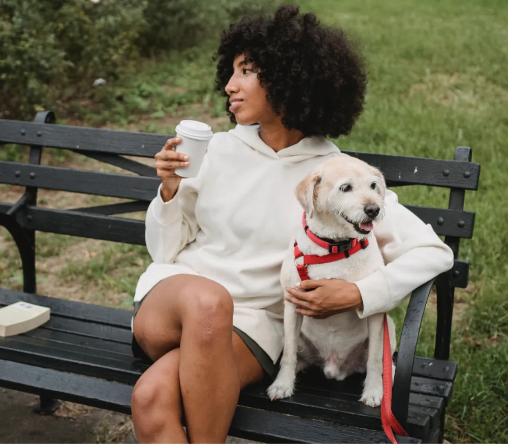 Tincidunt Lobortis Feugiat Vivamus article thumb 4 optimized