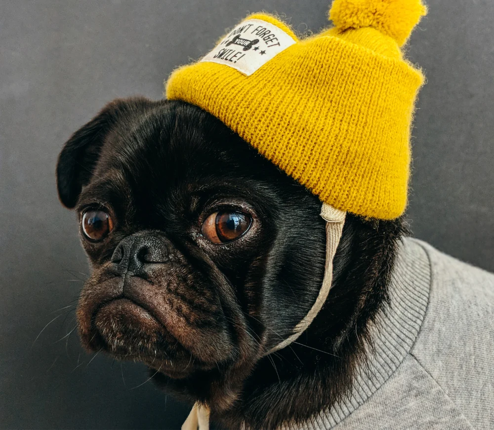 Elementum Tempus Egestas Suspendisse article thumb 7 optimized